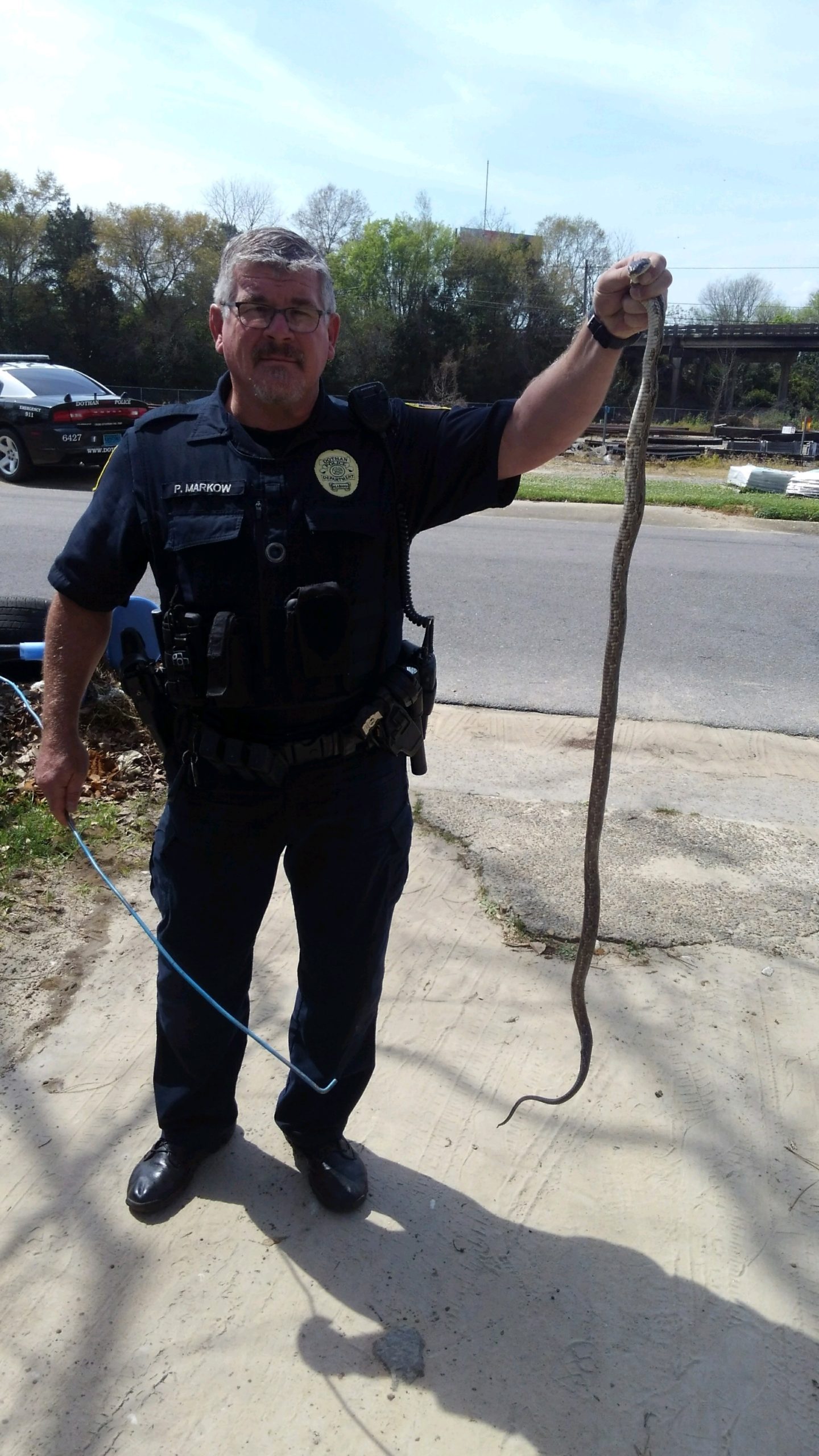 Dothan Police Mugshot N8N Dltec